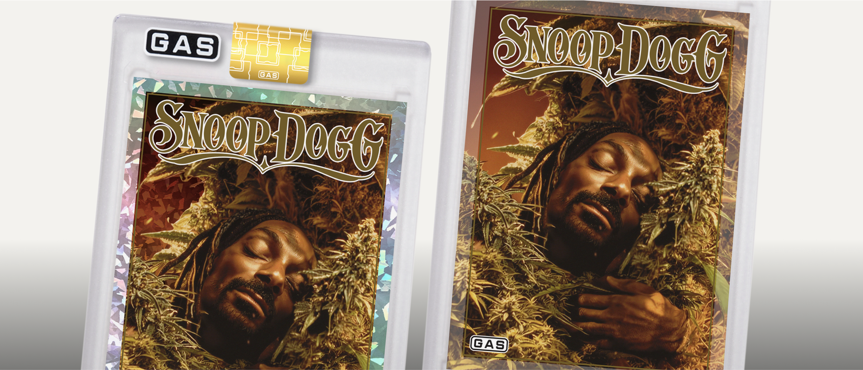 Snoop Dog x GAS Trading Cards | Last Dance With Mary Jane Complex